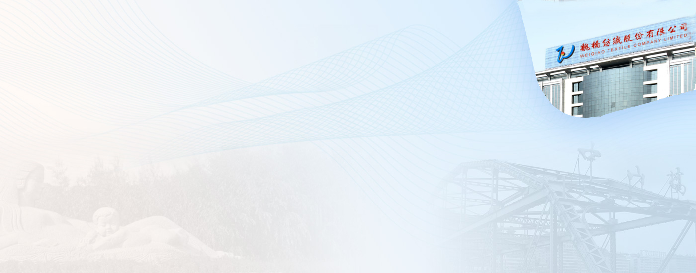 山东汶河新材料有限公司